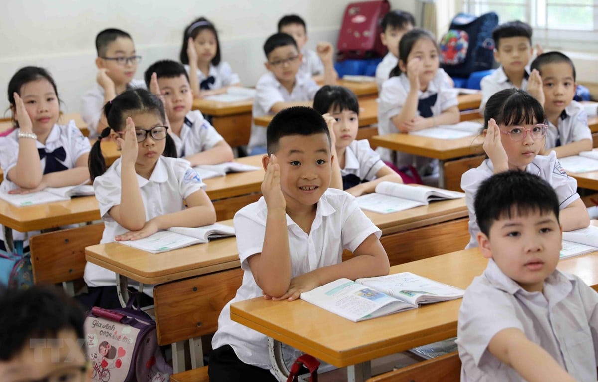  diện tích tam giác vuông