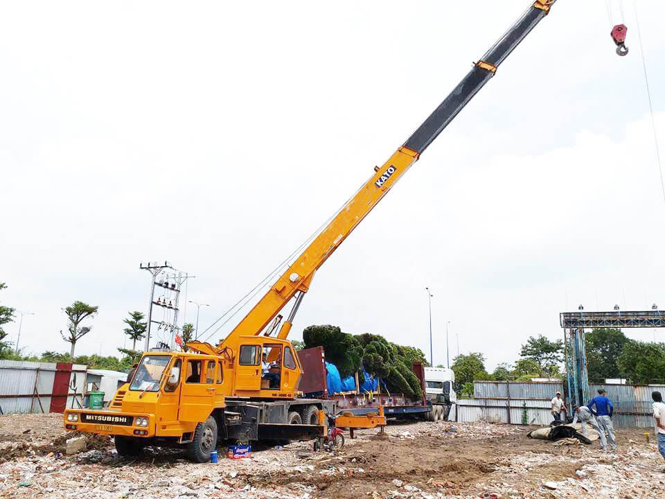 Giá thuê xe cẩu tự hành 15 tấn